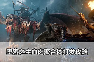 堕落之主血肉聚合体打发攻略