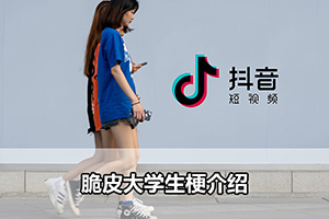 脆皮大学生梗介绍