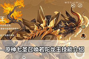 原神七圣召唤若陀龙王技能介绍