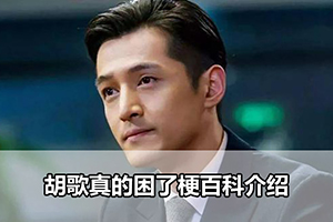 胡歌真的困了梗百科介绍
