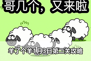 羊了个羊1月3日第二关攻略