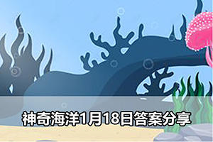 神奇海洋1月18日答案分享