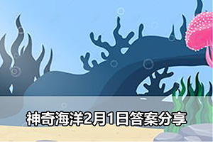 神奇海洋2月1日答案分享