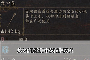 龙之信条2掌中花获取攻略