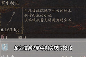 龙之信条2掌中树尖获取攻略