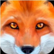 终极狐狸模拟器