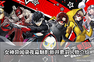 女神异闻录夜幕魅影新井素羽人物介绍