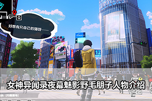 女神异闻录夜幕魅影野毛朋子人物介绍