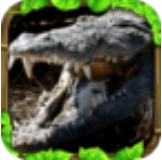 鳄鱼模拟生存